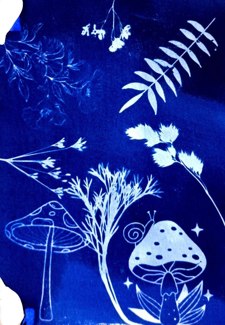 Данная работа - это открытка, выполненная в технике цианотипии (фотографический процесс, основанный на использовании светочувствительных солей железа) Я создала её уже будучи в миграции, но растения (листочки и колоски) были привезены мною из Беларуси. Я их собрала прошлым летом и засушила. Данная работа для меня - это воспоминания про лес рядом с домом и про «отрыв от корней» и вынужденной миграции